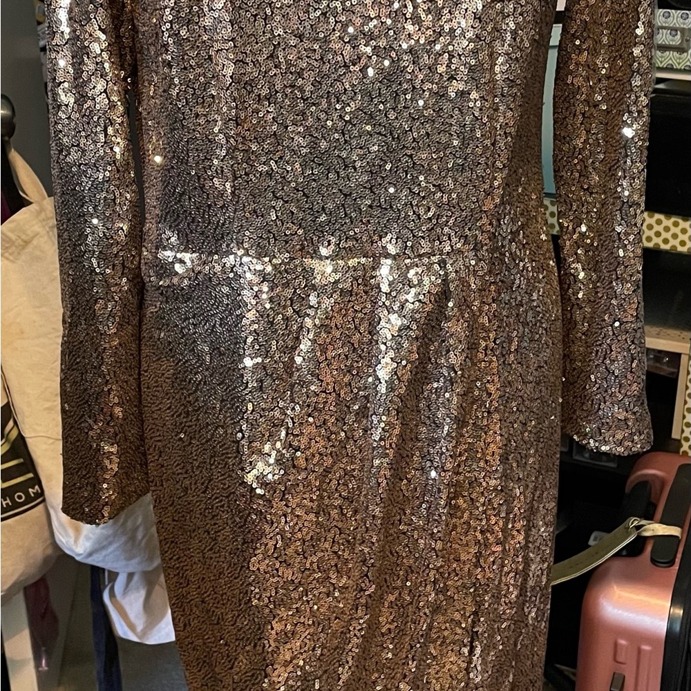 Sequin Long Sleeve Dress